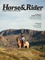 Horse & Rider